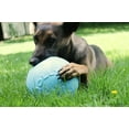 thumbnail image 7 of Jolly Pet Bounce n Play Ball, 6" Blueberry Dog Toy, 7 of 7