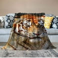 thumbnail image 2 of Nawypu  Golden Tiger Blanket Animal Print Soft Fuzzy Plush Throw for Couch Sofa Bed, 2 of 6