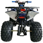 125cc ATV Quad Youth Utility Style ATV 125cc Fully Automatic w Reverse Double LED Headlights Gas ATV 4 Wheeler ATVs Quads Big 19/ 18