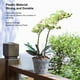 thumbnail image 4 of Maceta De Orquídeas, Diseño De Agujero Para Macetas De Orquídeas Para Interiores, 4 of 7