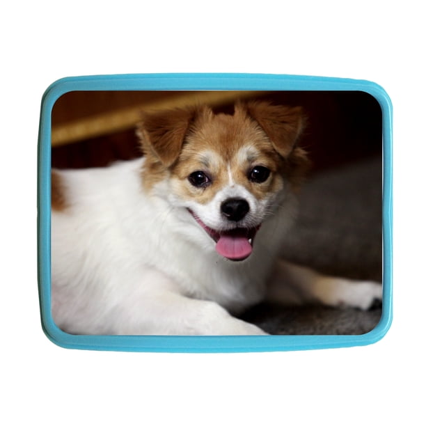 lunchbox-puppy-joyful-puppy-kids-bento-lunch-box-with-3-compartment