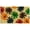 Colorful Daisies, variant on Sunflower Live Laugh Love Doormat