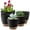 Black, variant on FOUKUS Set of 5 Self-Watering Plant Pots with Drainage – Eco-Friendly Plastic Planters for Indoor & Outdoor Use – Pots for Succulents, Cactus, Snake Plants (7", 6.5", 6", 5.5", 5") – Green