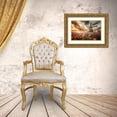 thumbnail image 3 of Suzuki, Daiki 32x23 Gold Ornate Wood Framed with Double Matting Museum Art Print Titled - Magnificent Flower World, 3 of 4