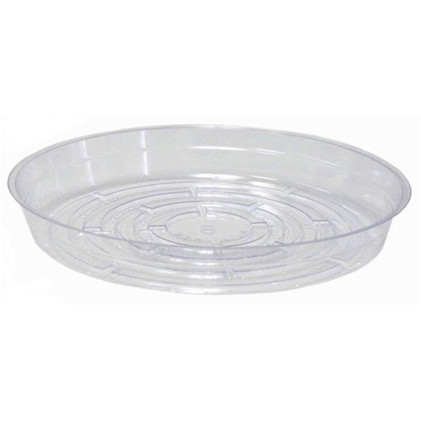 plastic cup and saucer