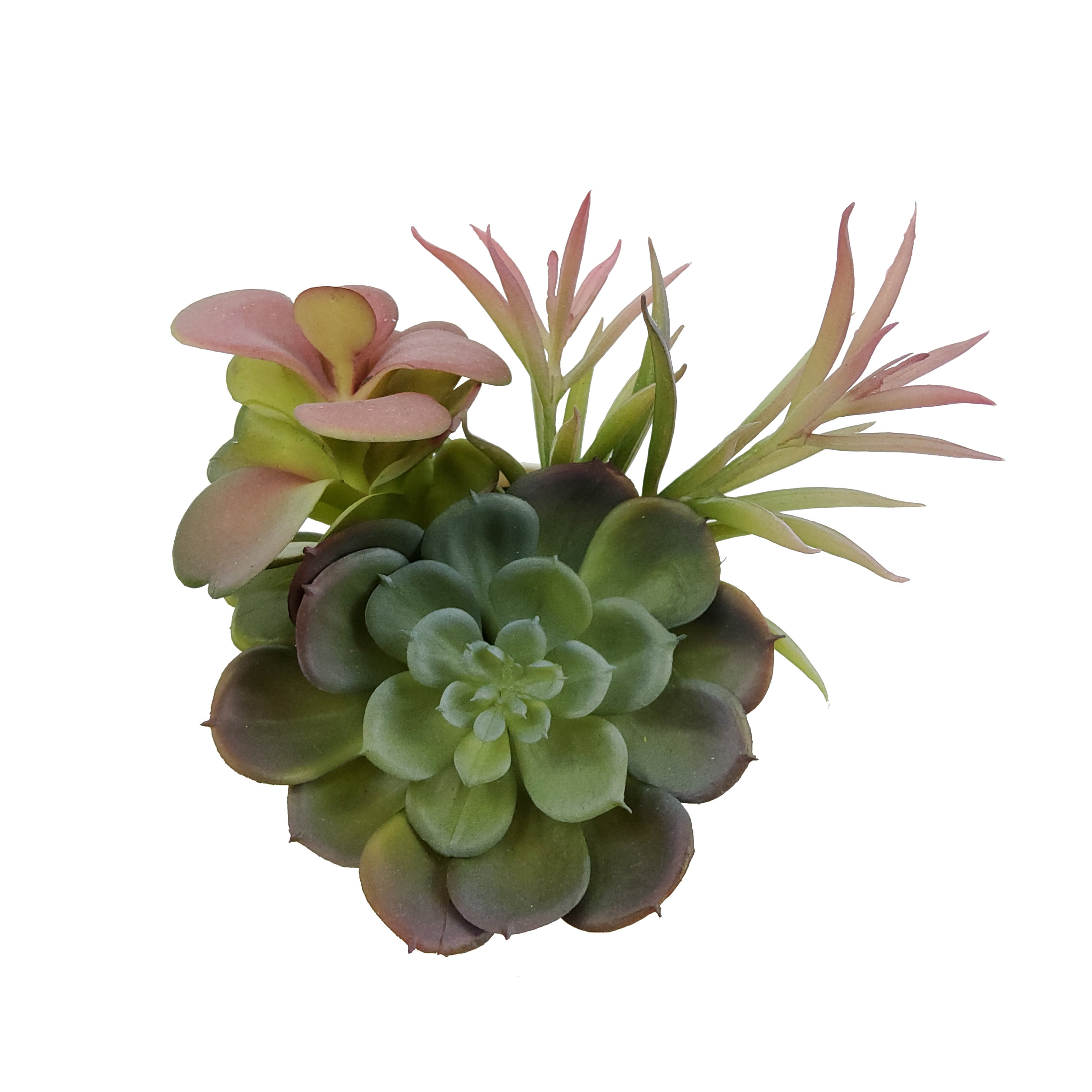 Mainstays 6.5in Indoor Artificial Succulents in Pot, Green Color.