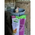 thumbnail image 4 of Nutrena Country Feeds Egg Producer Pellet 50 Pounds, 4 of 5
