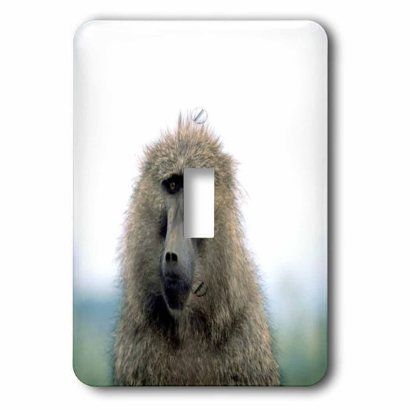 3dRose, Baboon Closeup, single toggle switch