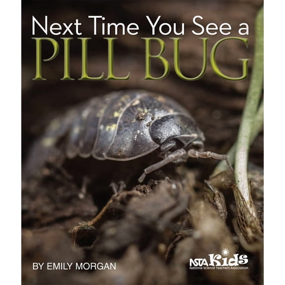 Next Time You See Next Time You See a Pill Bug, (Paperback)