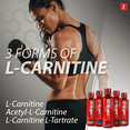 thumbnail image 4 of iSatori L-Carnitine LS3 Concentrated Liquid Fat Burner And Metabolism Activator - Fat Loss for Health And Fitness - Keto Friendly - Stimulant Free - Blue Raspberry 1500mg - (32 Servings), 4 of 8