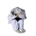 thumbnail image 1 of Halloween Crying Ghosts Decorations Voice Control Apparition Haunted House Ornament Sound Activated Props Outdoor Accessories Black White, 1 of 8
