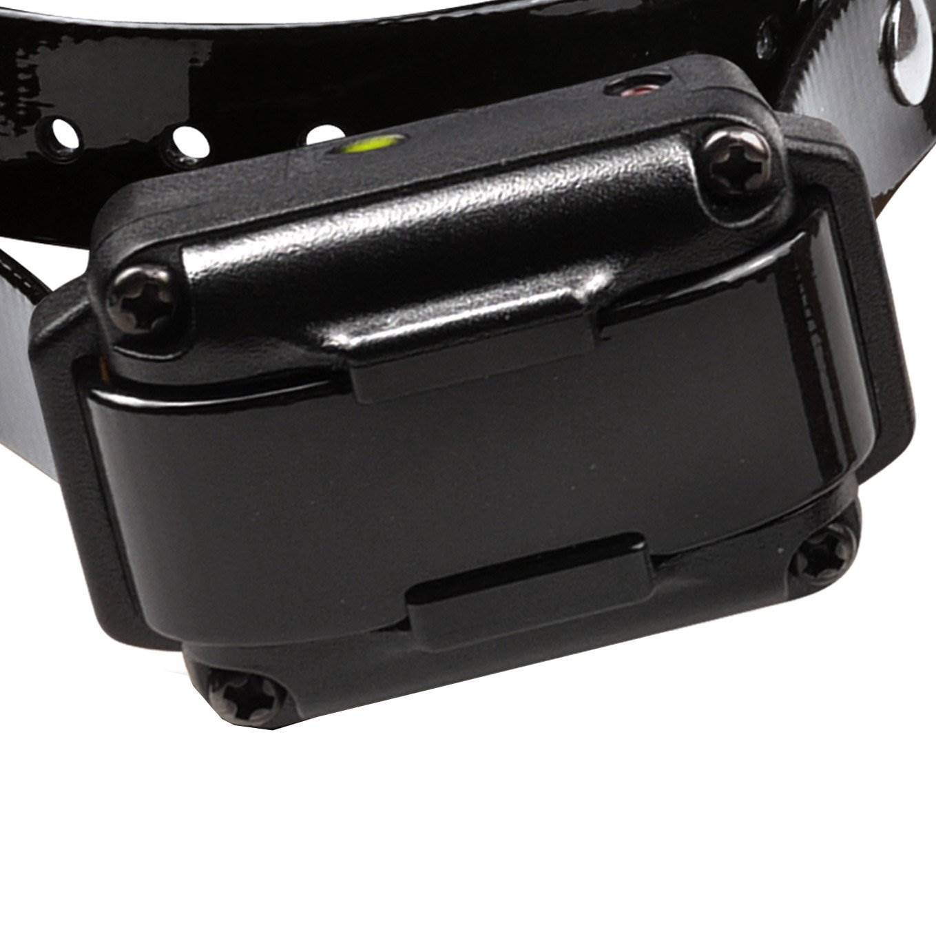 Dogtra iq remote trainer 2025