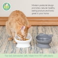 thumbnail image 2 of Cat Bowls Kitty City, orejas de gato levantadas, paquete de 2 unidades, 200 ml (modernas), 2 of 5