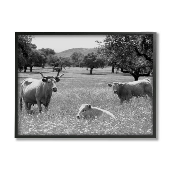 Stupell Industries Countryside Meadow Cattle Photograph Black Framed Art Print Wall Art, Design by Daphne Polselli