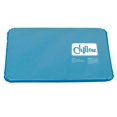 thumbnail image 1 of Chillow Pillow Ice Pad Cooling Water Pillow Summer, 1 of 4