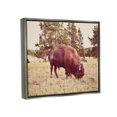 thumbnail image 3 of Stupell Wild Bison Rural Nature Scenery Animals & Insects Photography Gray Floater Framed Art Print Wall Art, 3 of 6
