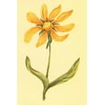 thumbnail image 2 of PI Collection 23x32 Gold Ornate Wood Framed with Double Matting Museum Art Print Titled - Arizona Wyethia, 2 of 4