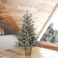 thumbnail image 4 of Vickerman 4' x 33" Gooding Potted Pine Artificial Tree, Warm White LED Mini Lights, 4 of 4
