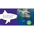 thumbnail image 3 of So Cool! Sharks (National Geographic Kids), 3 of 4