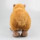 thumbnail image 4 of Simulación Carpincho Simulación Carpincho Muñeca Dibujos animados Muñeca Peluche Juguete ANGGREK  Otros, 4 of 8