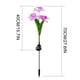 thumbnail image 3 of Luces LED solares para jardín, con forma de flor, de 3 cabezas, decorativas, para exteriores, con forma de narciso, para jardín y patio., 3 of 7