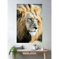thumbnail image 2 of Roar Poster Wall Art, Modern Wall Decor For Living Room Bedroom, 24x36 UNFRAMED, 2 of 3