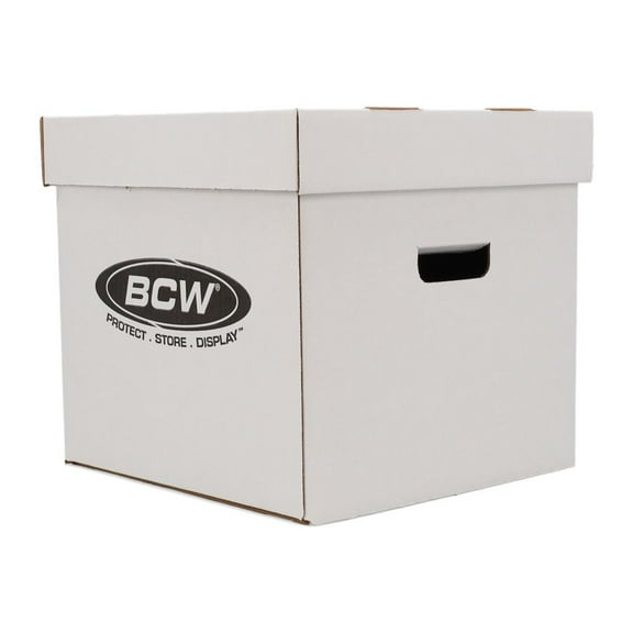 1 bundle of 10 BCW 33 RPM Record Storage Boxes