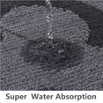 thumbnail image 2 of Heeneeso DB31 Absorbent Indoor Chenille Doormat, Muddy Dog Washable Mat, Absorbs Water and Moisture, Door Mat for Entry, 2 of 6