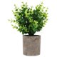 thumbnail image 1 of Artificial Green Plant Bonsai for Decoration 1Pcs Plastic Material, 1 of 4