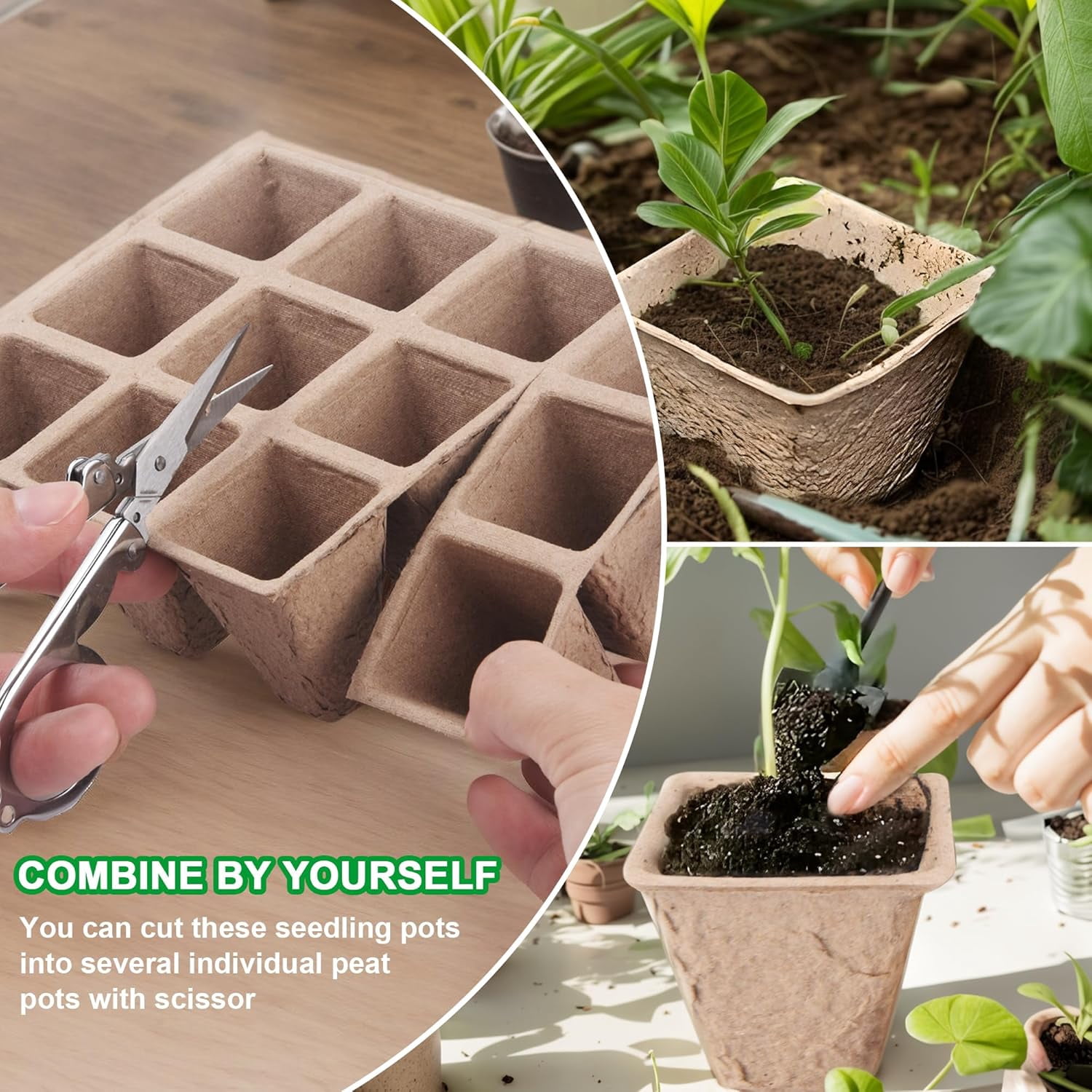 Seed Starter Tray Kit, Biodegradable Peat Pots for Seedlings Trays, Plant Starter Germination Kit with Labels and Transplant Tools