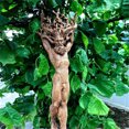 thumbnail image 4 of Injueey Estatua de bosque, adorno de resina, artesanía de jardín, árbol, decoración de Dios Type4 NO4, 4 of 6