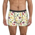 thumbnail image 2 of Bingfone Vegetable Men's Underwear - Casual Stretch Boxer Briefs-Medium, 2 of 7