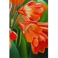 thumbnail image 2 of Stevenson, Graeme 23x32 Black Ornate Wood Framed with Double Matting Museum Art Print Titled - Orange 3, 2 of 4