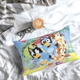 thumbnail image 7 of Sigee Bluey (53) for Pillow Cases Concealed Zipper Opening Soft Fabric - Shrinkage and Fade Resistant Pillow Covers (Pillow core not included),16"x24", 7 of 7