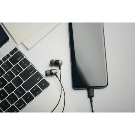 Moshi - Mythro C USB-C Wired In-Ear Headphone - Gray