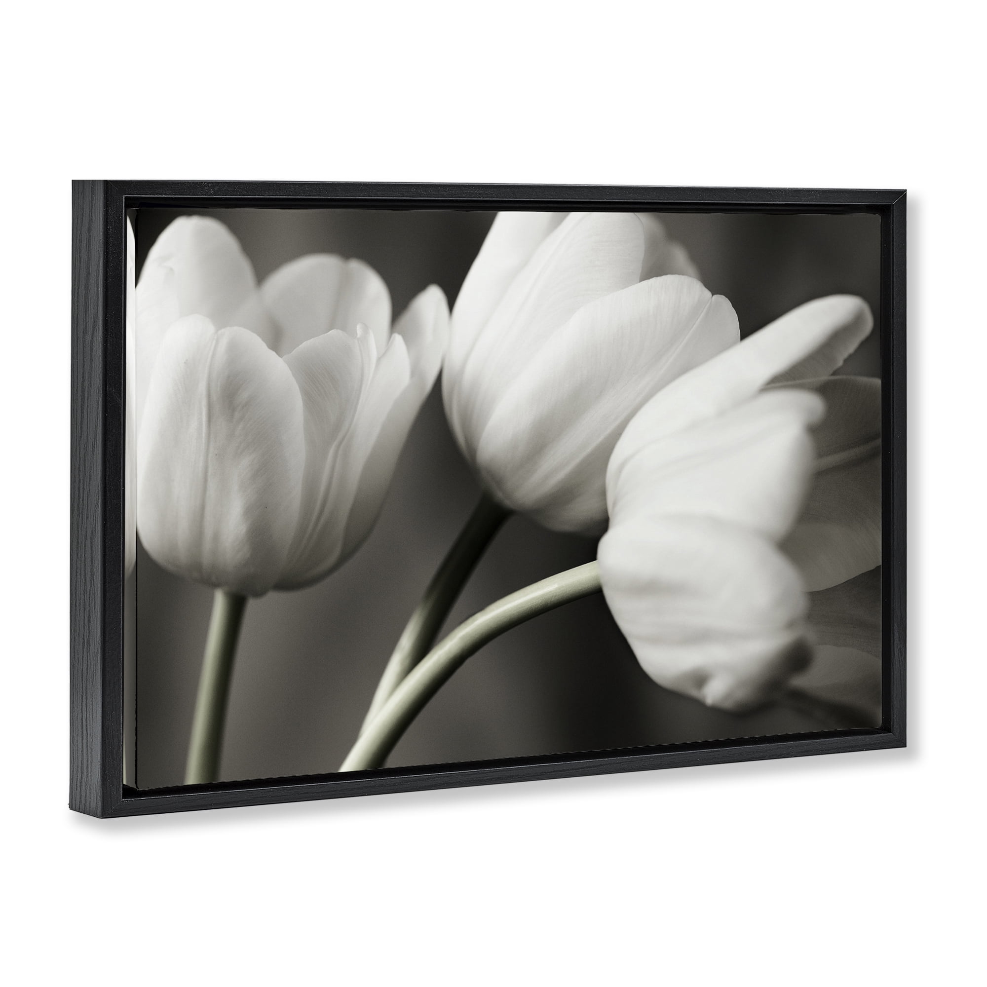 Stupell Industries Row Of Monochrome Tulips Black Framed Floater Canvas Wall Art, design by Tom Quartermaine
