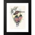 thumbnail image 2 of John Gould 11x14 Black Modern Framed Museum Art Print Titled - Trogan Personatus (Probably 1836-1838), 2 of 5