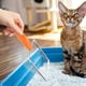 thumbnail image 5 of KAKOWELY Pala para arena de gatos, limpiador de arena portátil, pala de malla de acero inoxidable, caja de arena, pala para arena, 5 of 5