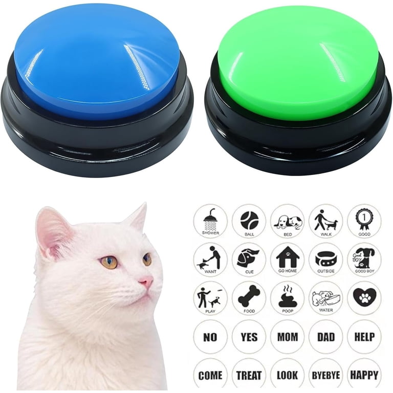 Voice Recording Button, 2 Packs, Blue and Green - Walmart.com