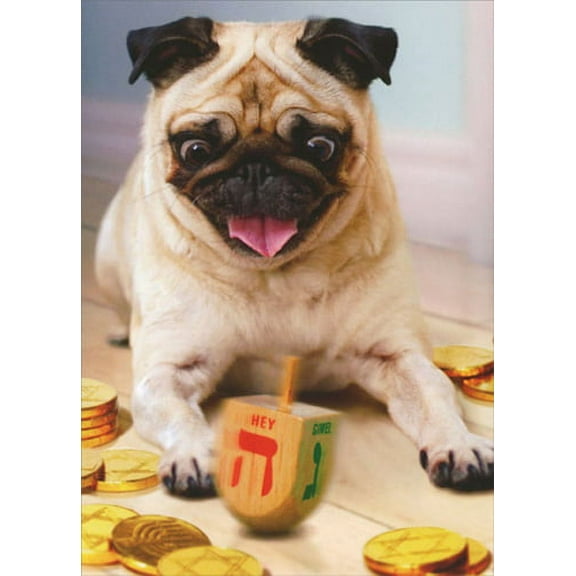 Avanti Press Pug with Dreidel Dog Hanukkah Card