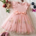 thumbnail image 2 of Miluxas Toddler Baby Girl Tulle Dress Summer Sleeveless Embroidery Sequin Princess Birthday Party Tutu Dress Pink 2 Years, 2 of 9