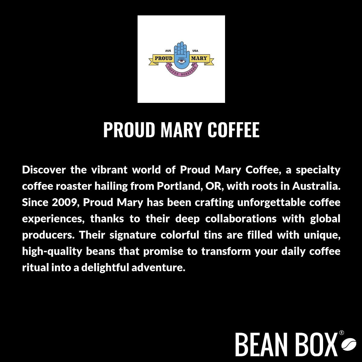 'Curious' Single Origin - Roasted by Proud Mary Coffee - Whole Bean Coffee - 1 Kilogram Bag
