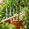 thumbnail image 5 of 6 Pcs Crystal Sun catchers Plant Decorations Charms Hanging Prisms for Window Indoor Garden Plant Pot Holder Hanger Tree Vine Home Chandeliers Outdoors, 5 of 6