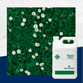 thumbnail image 5 of Triad Select Herbicide - Controls Broadleaf Weeds - 32 fl oz Bottle by Prime Source for Albaugh, 5 of 6