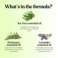 thumbnail image 4 of Clarifying Shampoo for Build Up & Oily Hair - Tea Tree Shampoo for Men and Women with Rosemary Essential Oil for Oily Hair and Scalp - Color Safe Vegan Sulfate Silicone & Paraben Free (10 Fl Oz), 4 of 8