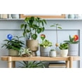 thumbnail image 7 of Lexi Home Plant Watering Globes Hand Blown Glass Self Watering Bulbs, Green/Yellow 2-Pack, 7 of 7