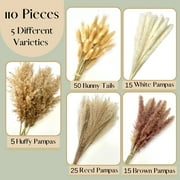 110 Pcs Natural Dried Pampas Grass Bouquet, Bunny Tails Dried Flower, Long-Lasting Dried Flowers Bouquet for Home Wedding Decor, 17 (Without Vase)