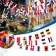 thumbnail image 2 of Guirnalda de bandera europea de 32,8 pies/10 m 2024, 24 banderas europeas Banner de poliéster de doble cara para decoración de fiesta de fútbol europeo 2024, 2 of 7