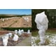 thumbnail image 5 of Paquete de 2 cubiertas de invierno para plantas: 100 x 80 cm, cubiertas de invierno para plantas, protección de plantas, cubiertas de invierno, cubiertas de protección de plantas, cubiertas de invier, 5 of 5