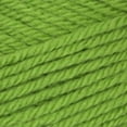 thumbnail image 2 of Patons Canadiana Yarn - Solids-Cherished Green, 2 of 4